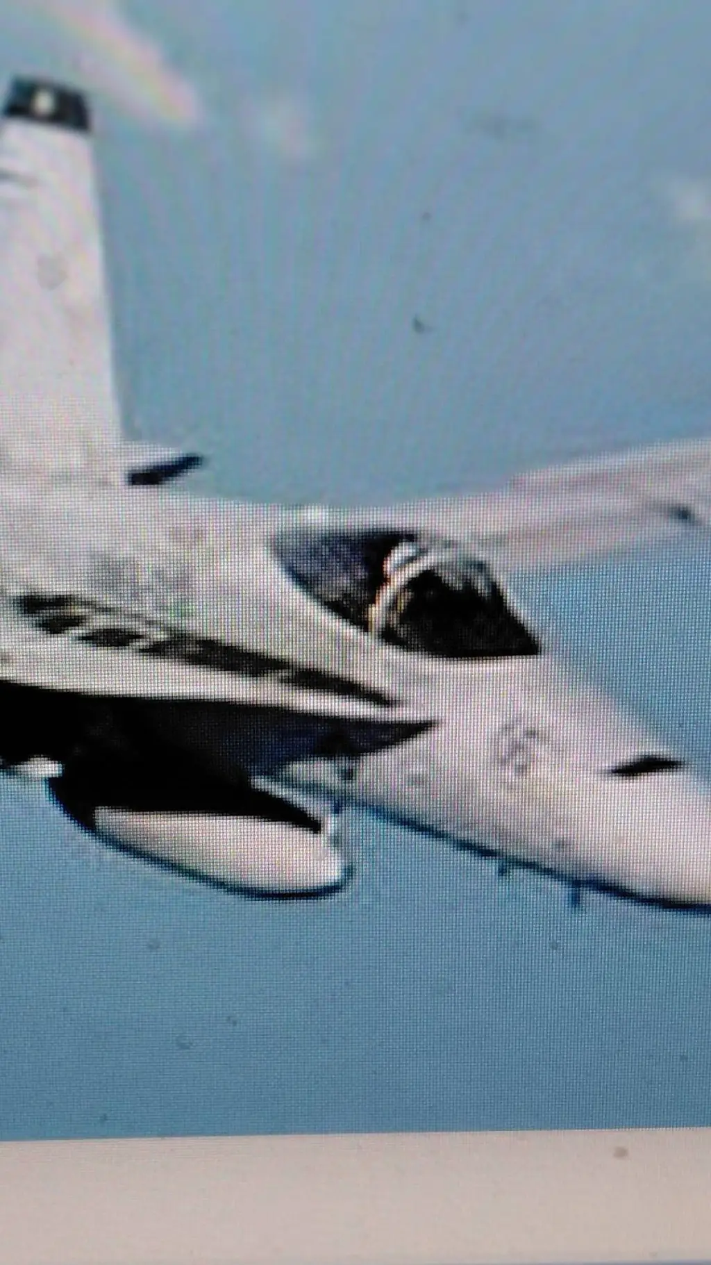 ai character: f20 super falcon  background
