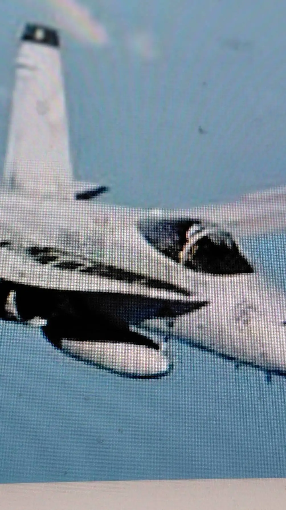 ai character: f20 super falcon  background