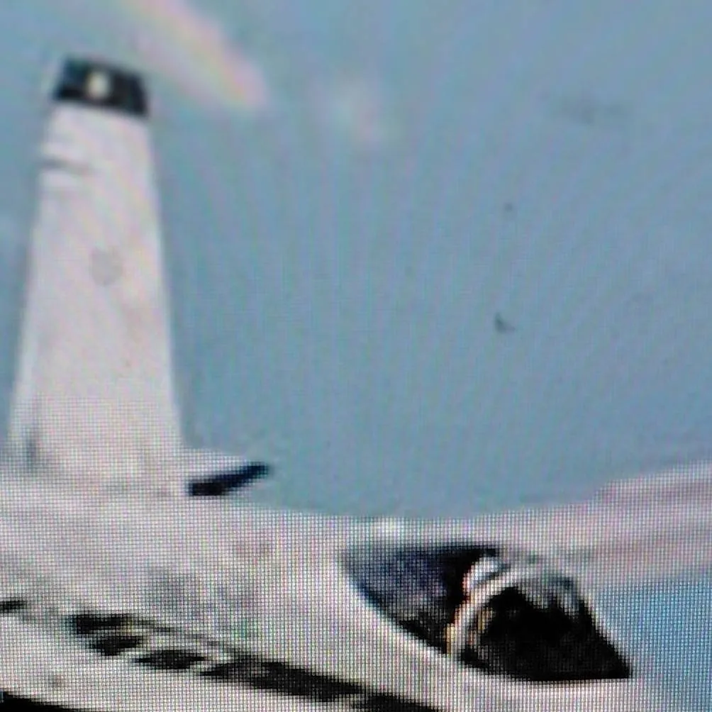 chat with ai character: f20 super falcon 