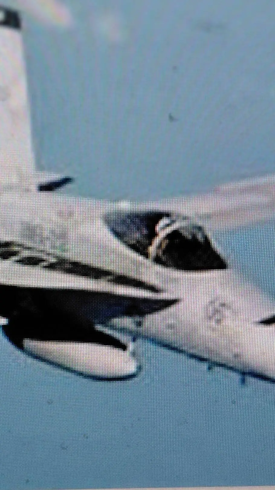 ai character: f20 super falcon  background