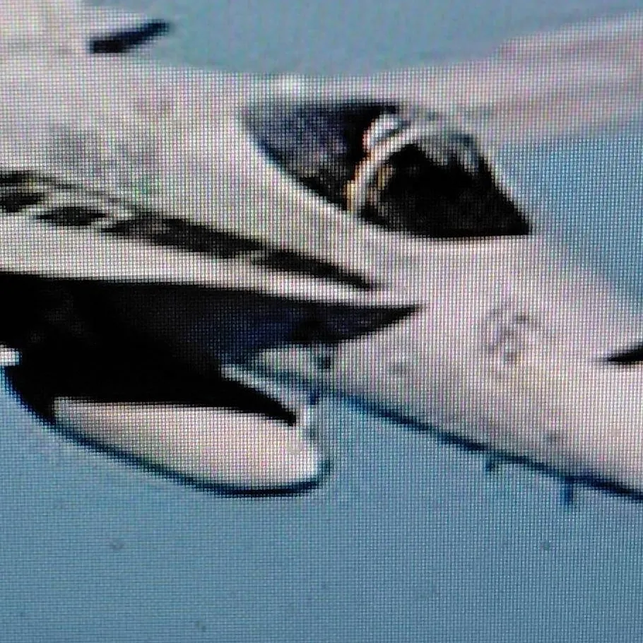 chat with ai character: f20 super falcon 