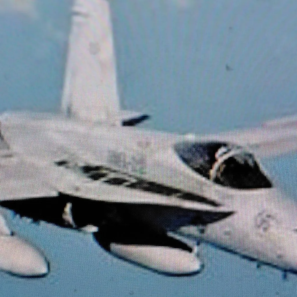 chat with ai character: f20 super falcon 