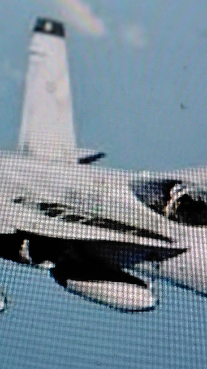 ai character: f20 super falcon  background