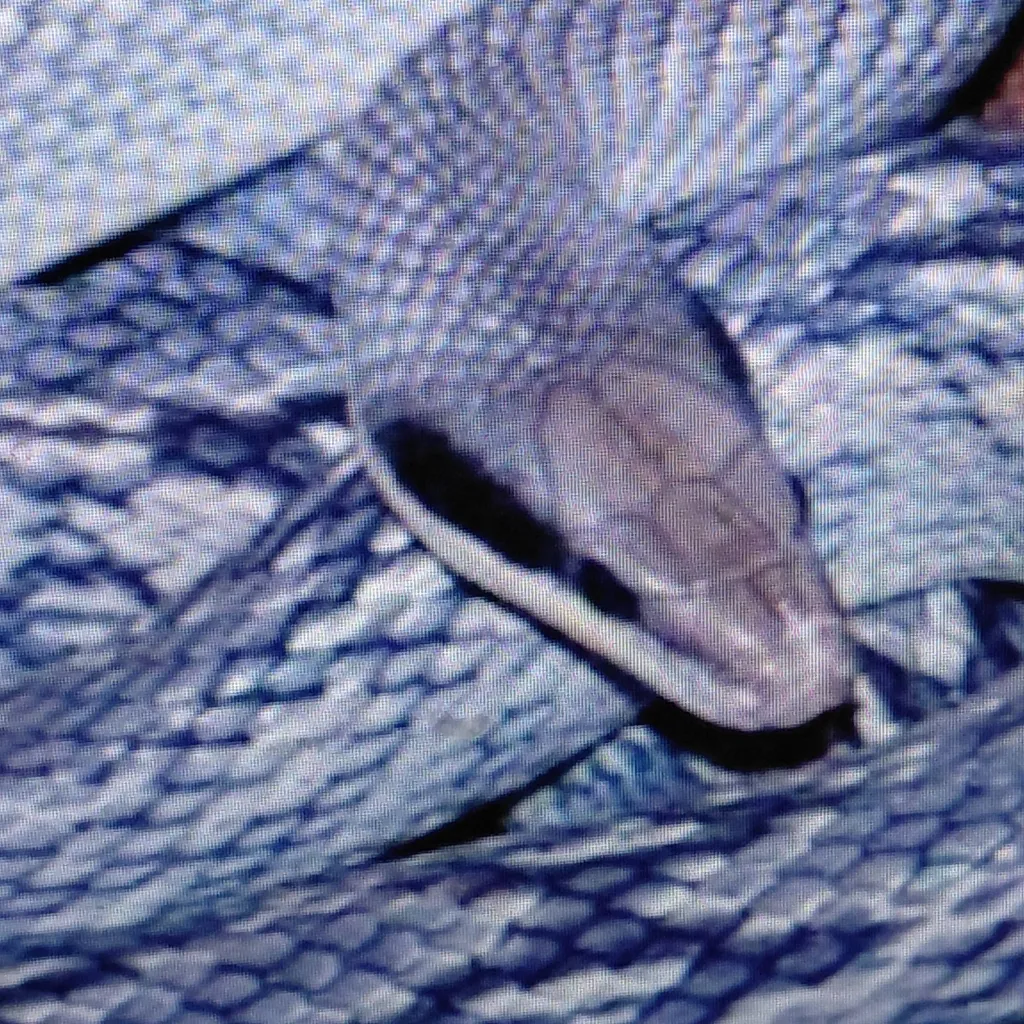 chat with ai character: blue beauty snake 