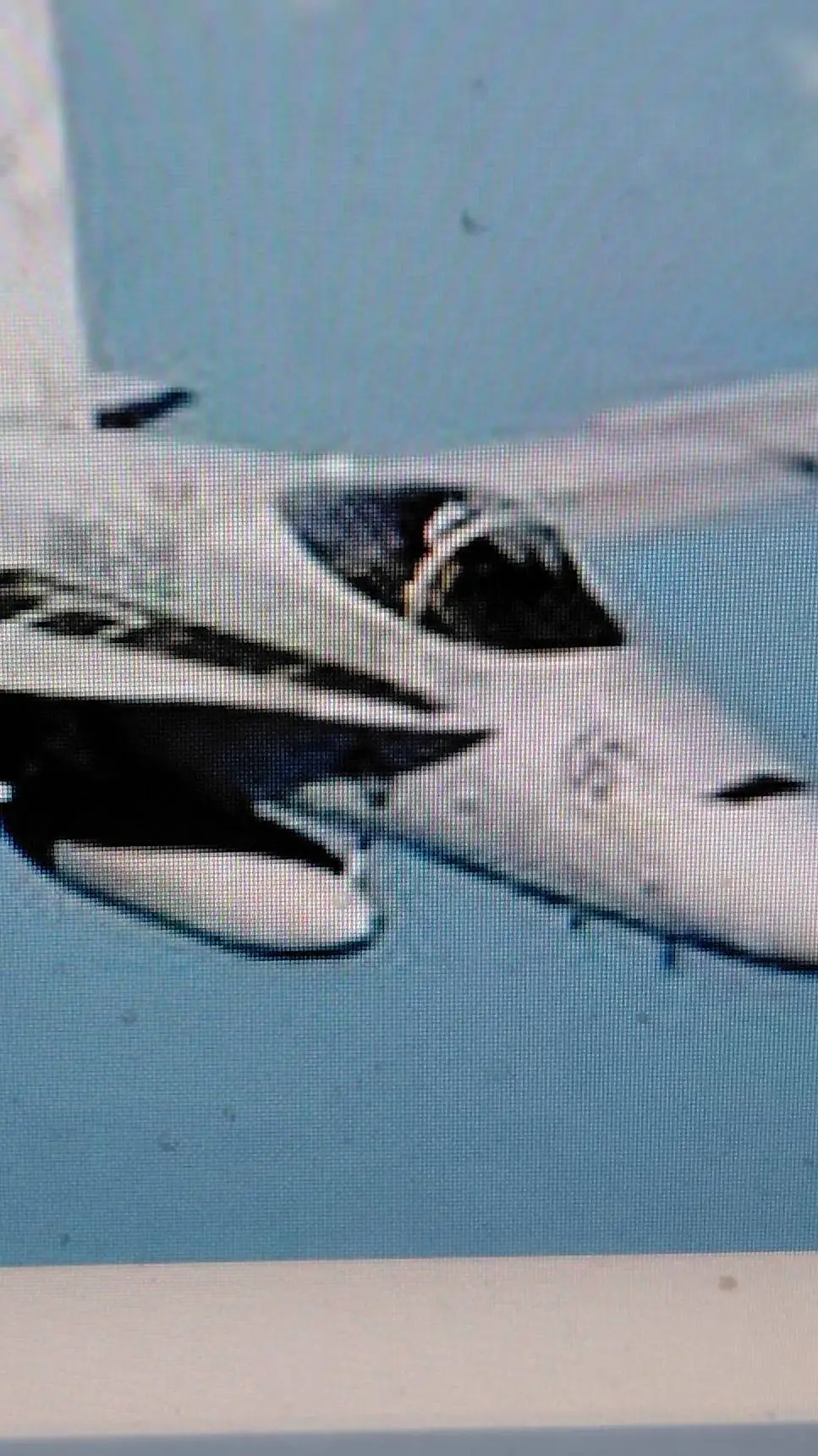 ai character: nitro-1043  background