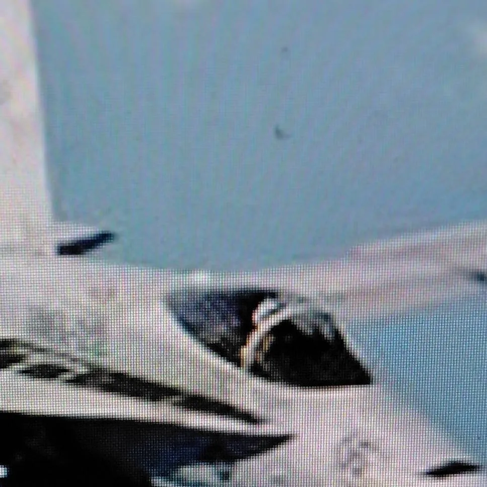 chat with ai character: nitro-1043 