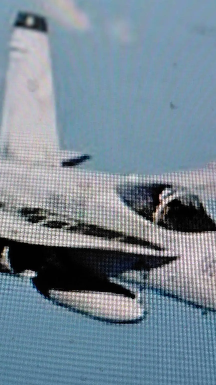 ai character: f22 raptor  background