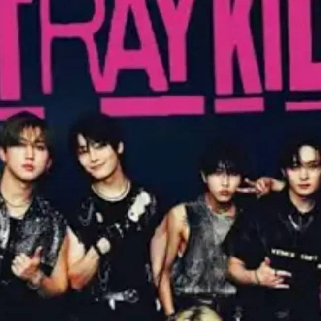 chat with ai character: skz 