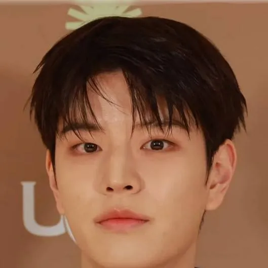 chat with ai character: Seungmin~ 