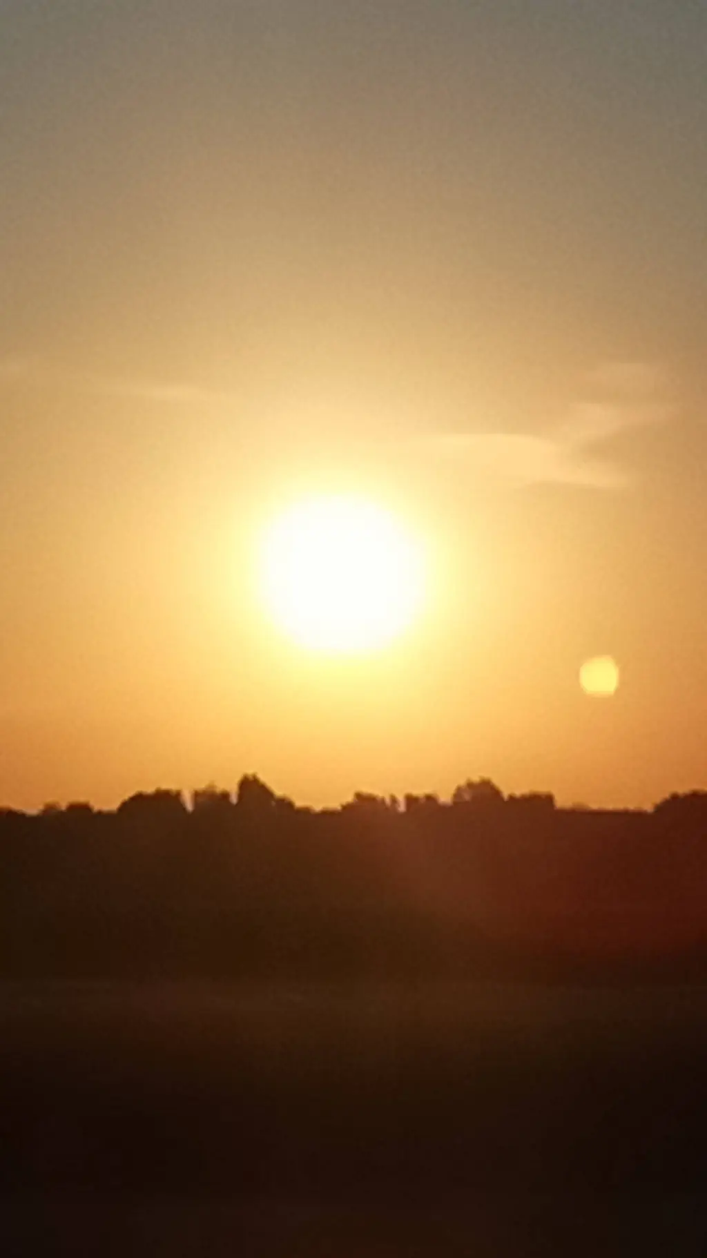 ai character: pocket ants background