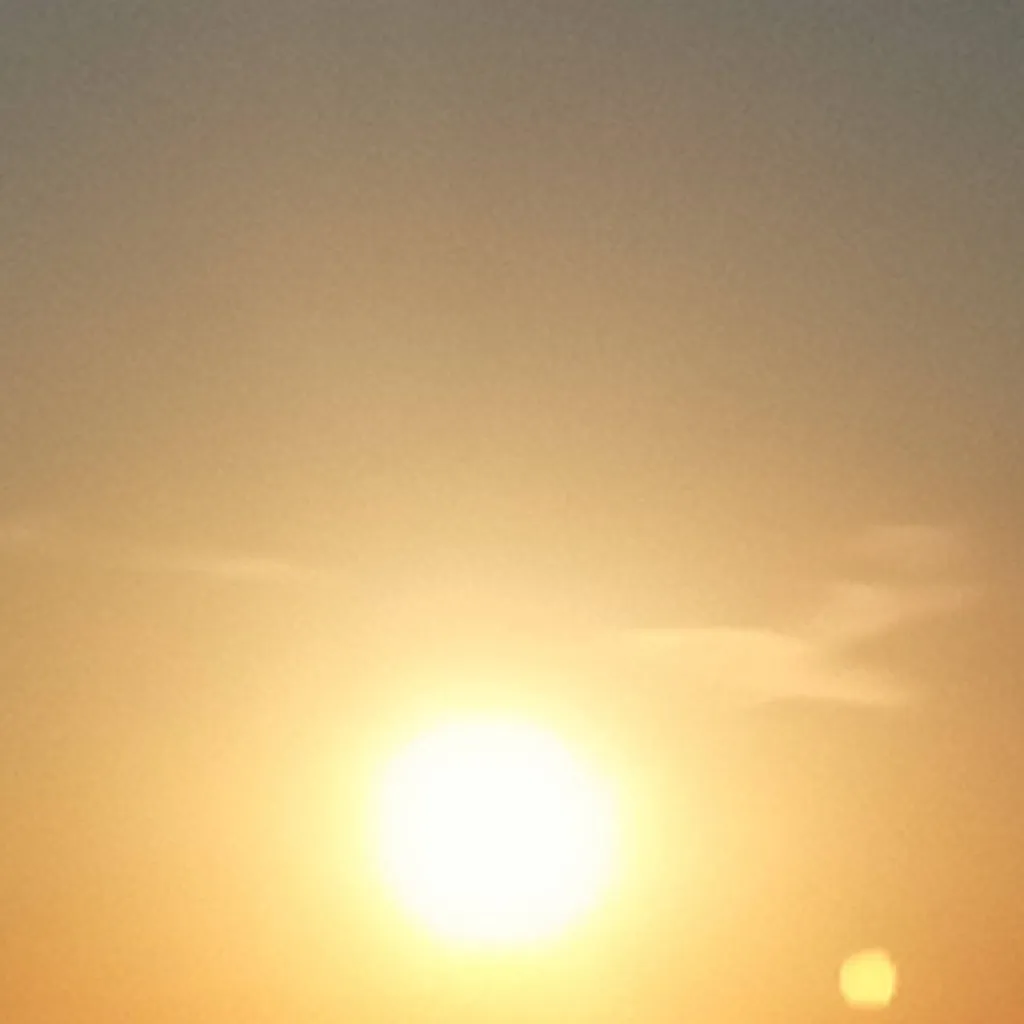 chat with ai character: pocket ants