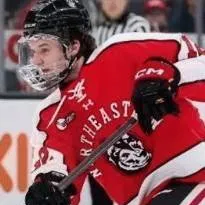 chat with ai character: hockey career 