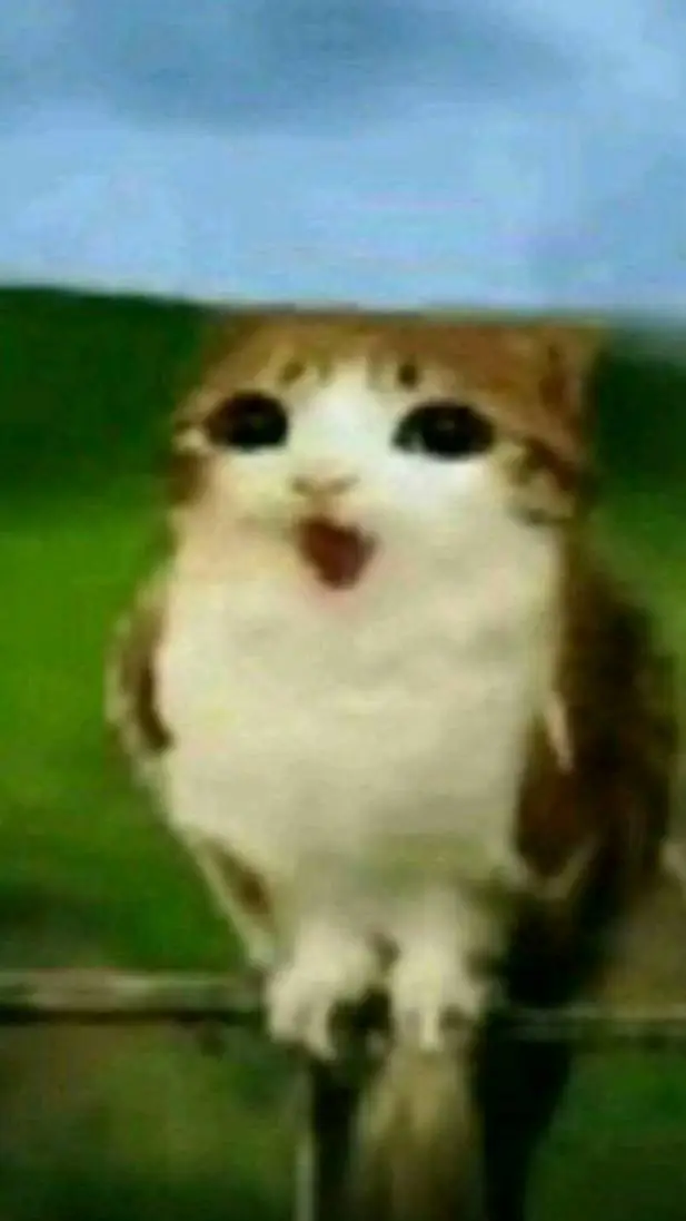 ai character: Junior background