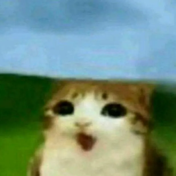 chat with ai character: Junior