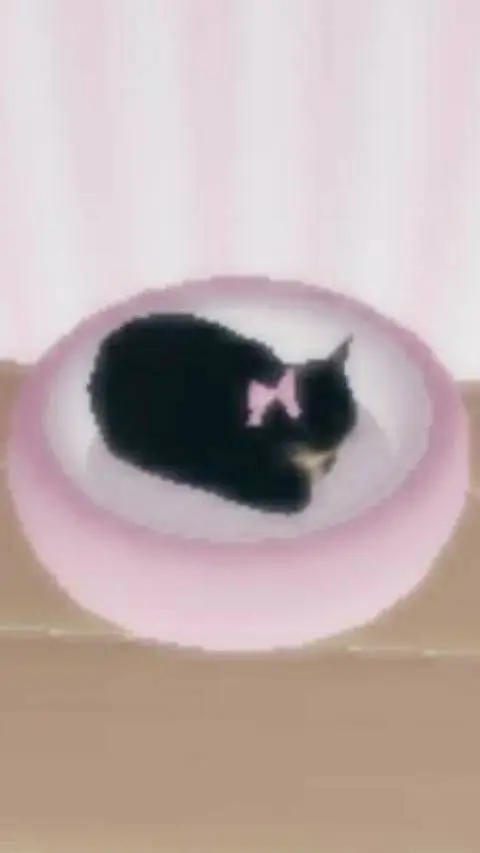 ai character: ♥︎𓃠cat life𓃮♥︎ background