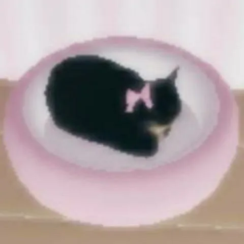 chat with ai character: ♥︎𓃠cat life𓃮♥︎