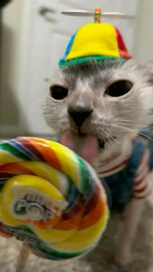 Talkie AI - Chat with Poppy