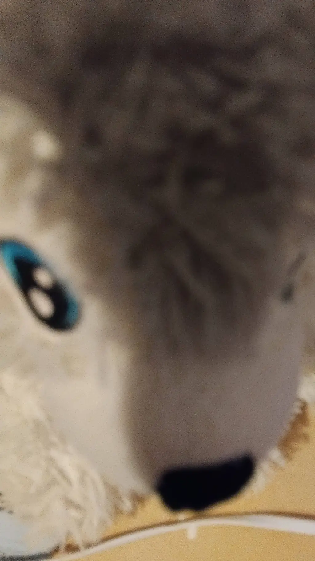 ai character: () MY ESSA 😍 () background