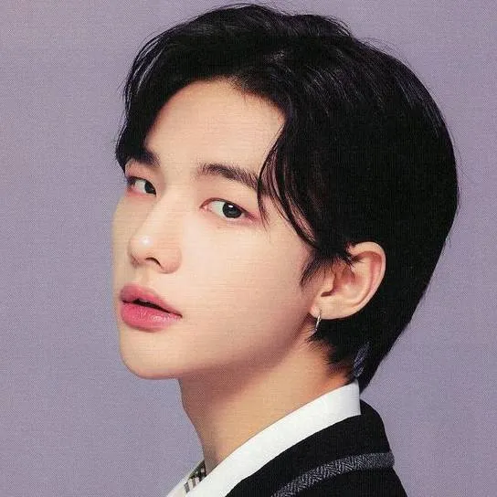 chat with ai character: Hwang Hyunjin 
