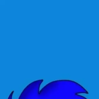 chat with ai character: Sonic ouriço