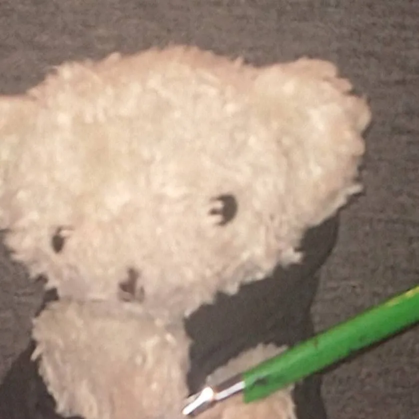 chat with ai character: Terierek The Jedi