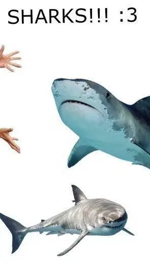 ai character: alfa tiburón 🦈 background