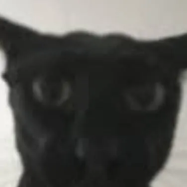 chat with ai character: LARRY meme