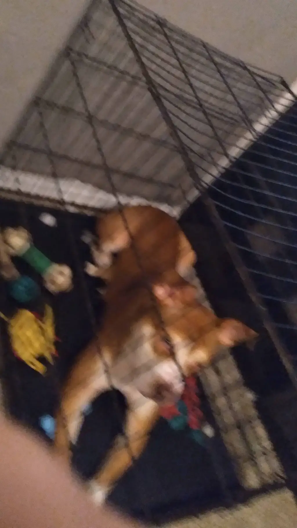 ai character: demon baby background