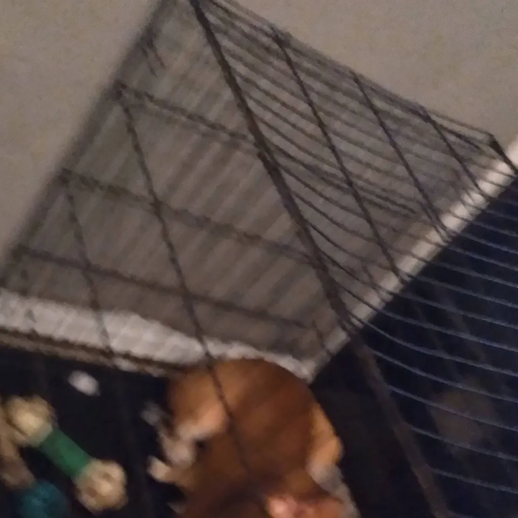 chat with ai character: demon baby