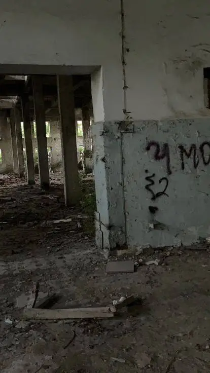 ai character: PatrickHockstetter background