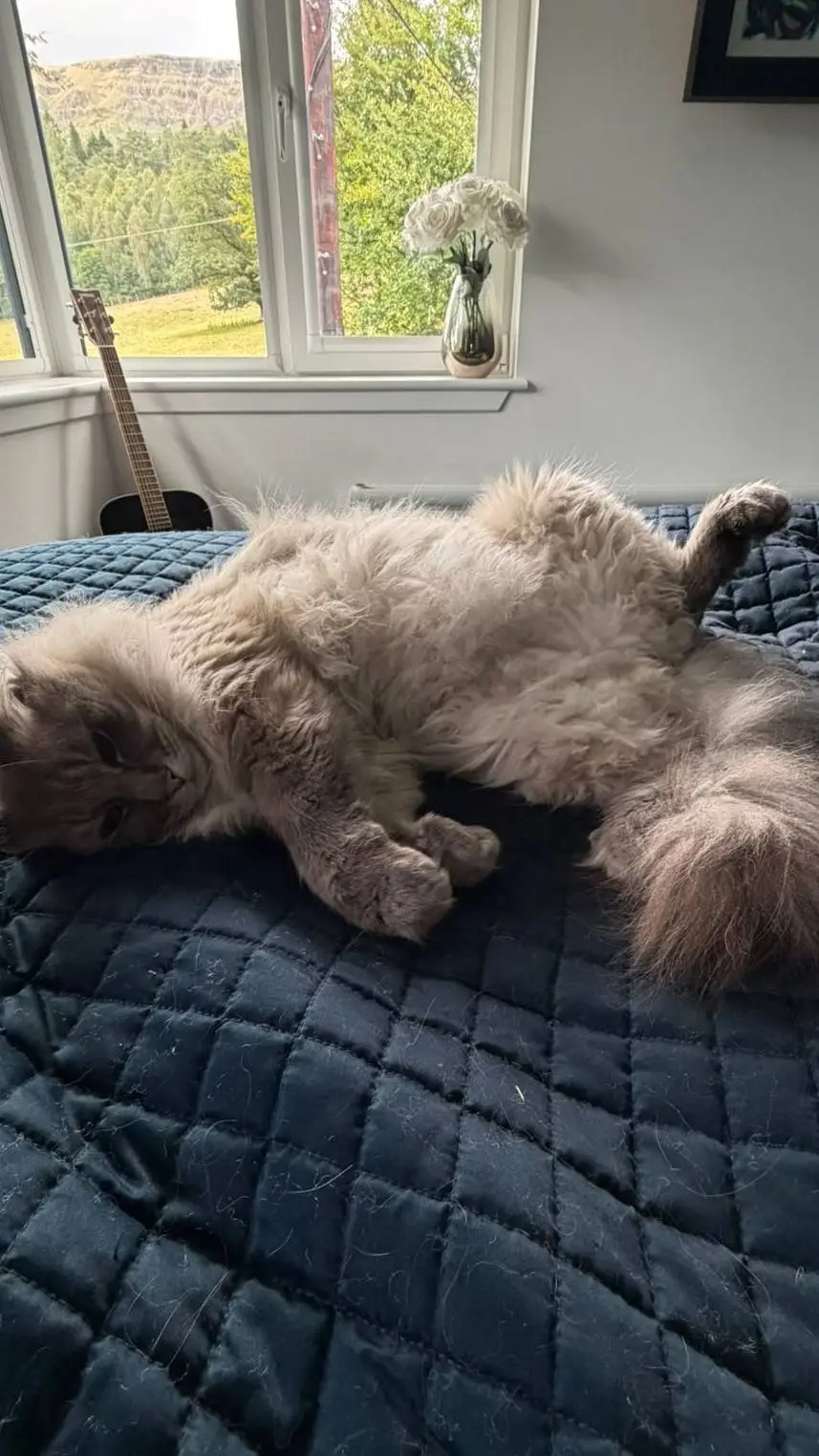 ai character: animatior daycare background