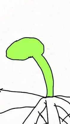 ai character: brote background
