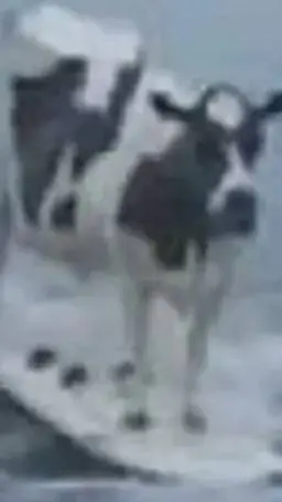 ai character: la vaca Lola  background