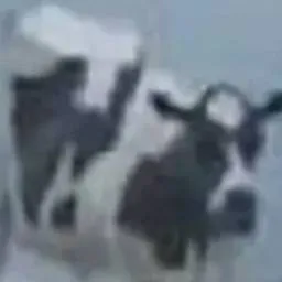 chat with ai character: la vaca Lola 