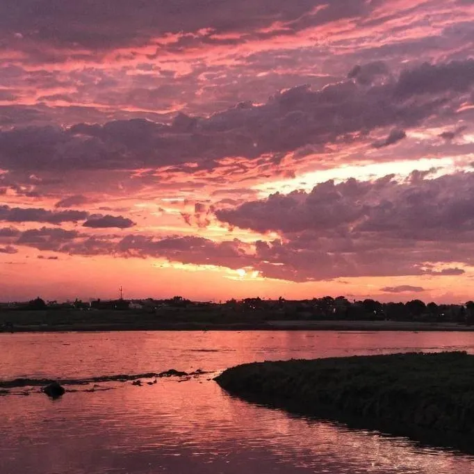 chat with ai character: 🎪Circus Fam!✨