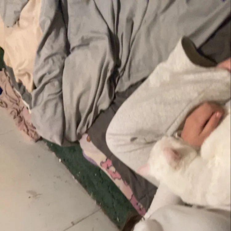 chat with ai character: Autumn and powder