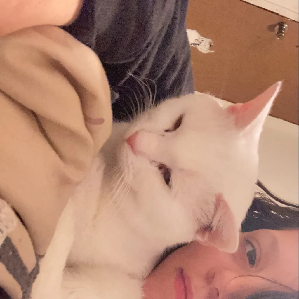 chat with ai character: Autumn and powder