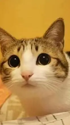 ai character: 007n7 x noli prt2 background