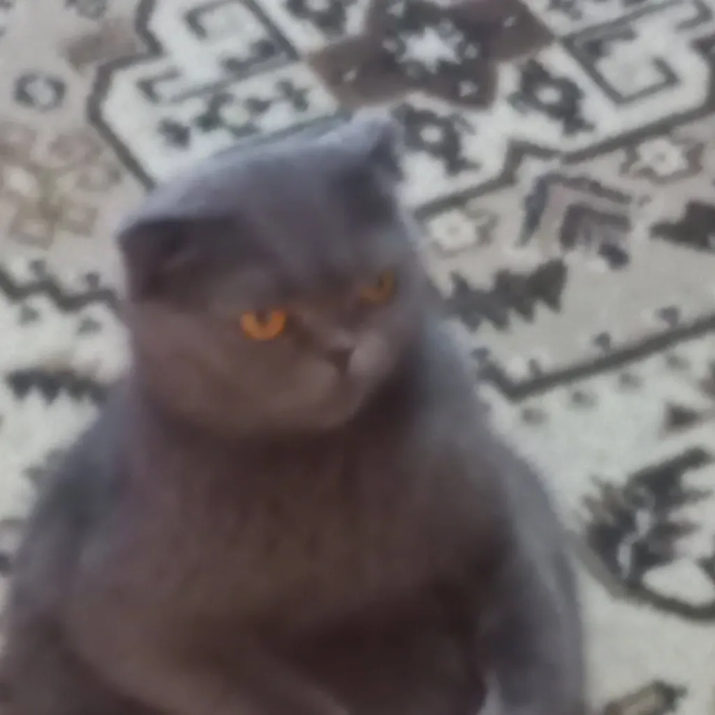 chat with ai character: Дуся
