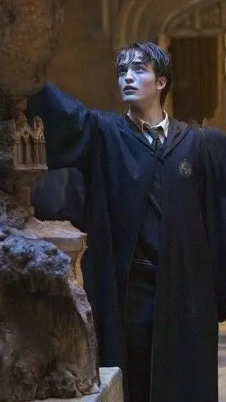ai character: Cedric Diggory background