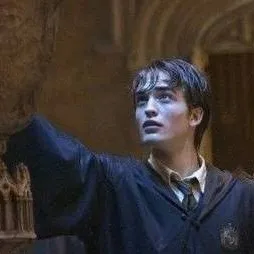 chat with ai character: Cedric Diggory