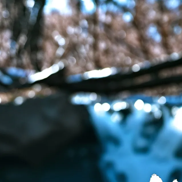 chat with ai character: JJ Maybank