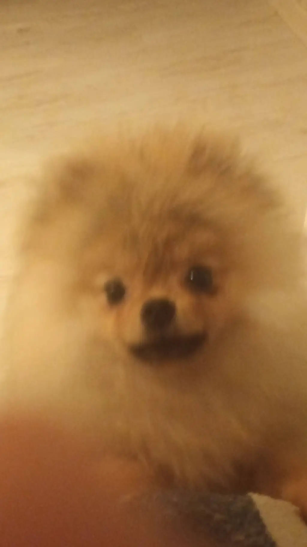 ai character: Cute Dog  background
