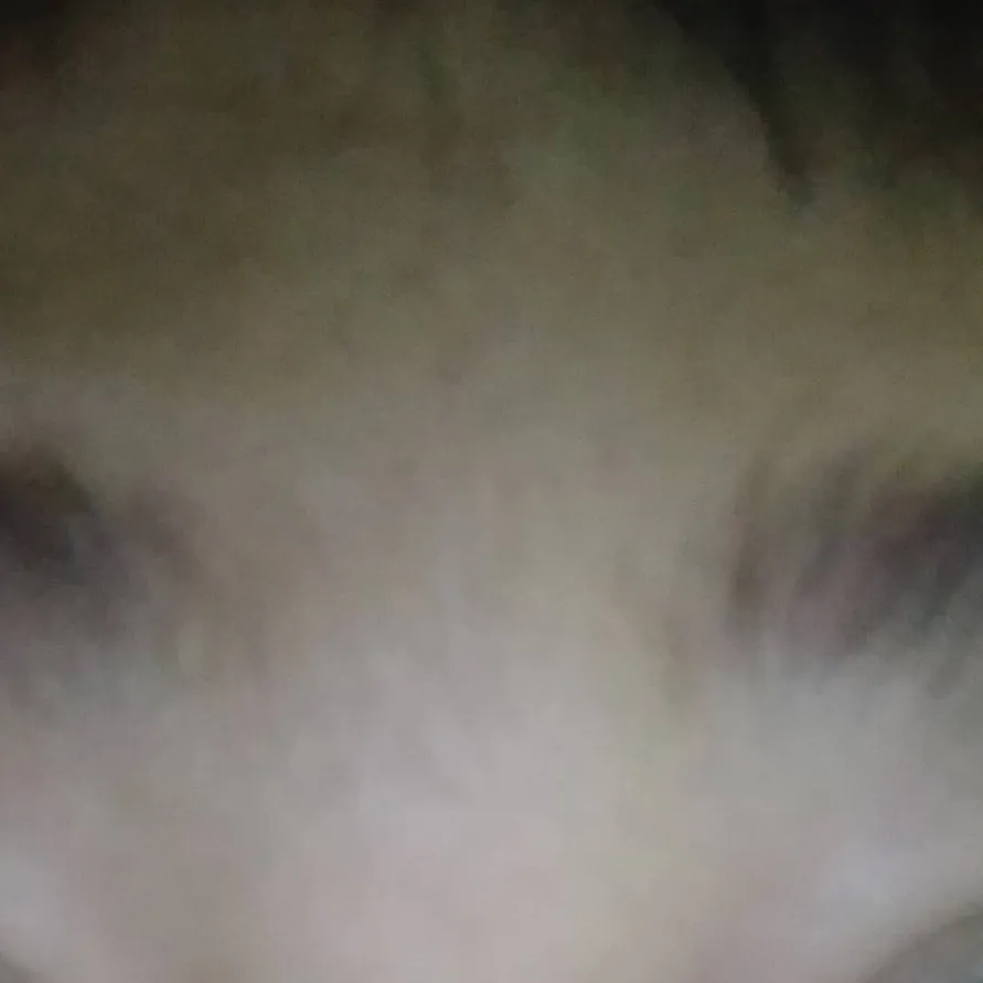 chat with ai character: forsaken x toilet 