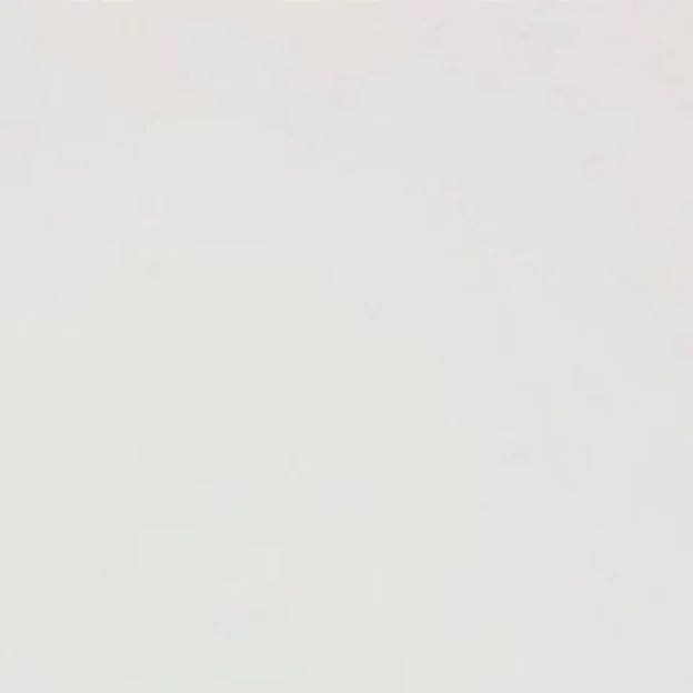 chat with ai character: (Give some ideas)