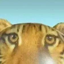 chat with ai character: THE.              