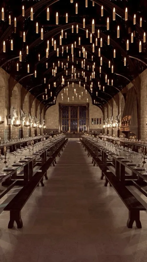 ai character: Harry Potter - RP background