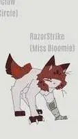 ai character: miss bloomie (cat) background