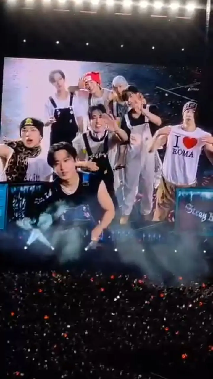 ai character: Stray Kids! background