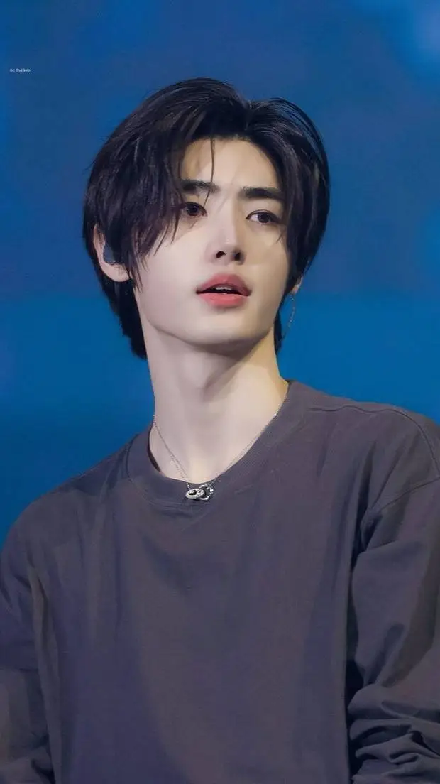 ai character: Sunghoon background